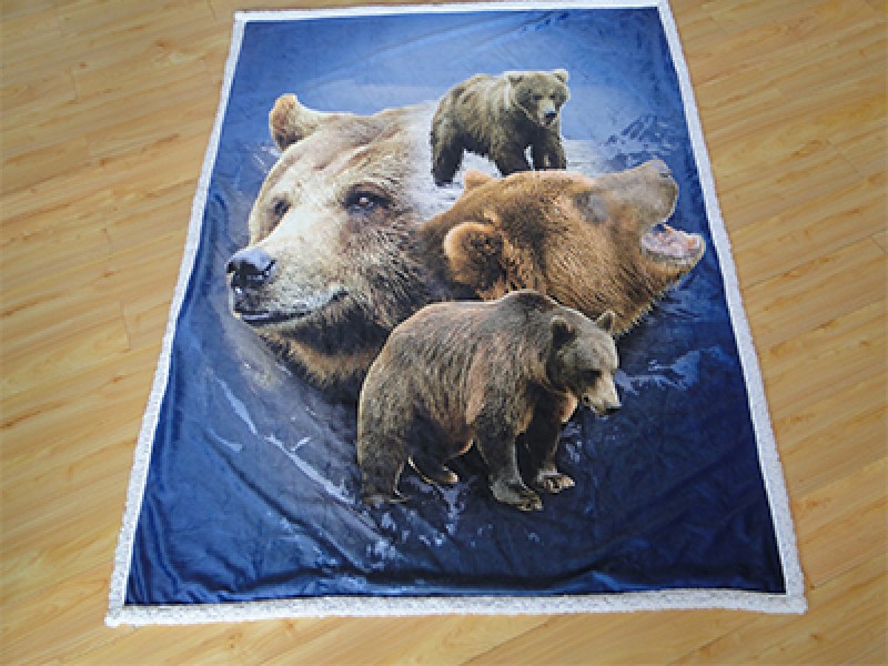 超柔軟聚酯纖維雙層投擲毯，一側為昇華印刷